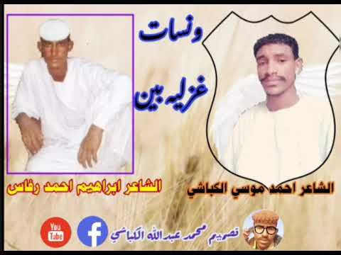 مجادعه بین الشاعران احمد موسي الكباشي وابراهیم احمد رفاس