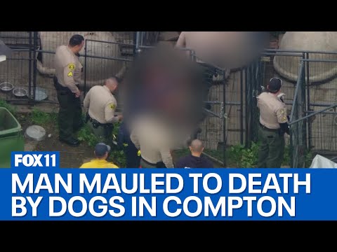 Compton man, who may have been breeding pit bulls, found mauled to death