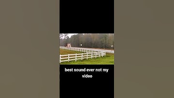 Thumbnail of Hardest Jake Brakes Sound #detroit #fyp #truck #fypシ #short #shorts