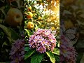 Colorful flower and fruit garden, trees full of fresh fruits. #reels #relaxing #nature