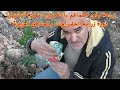 زراعة بذور الطماطم بالتفصيل عملية التشتيل دورة زراعة الخضراوات بالمناطق الجبلية