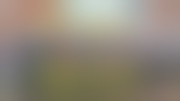 These Labels: What Is The Implication?