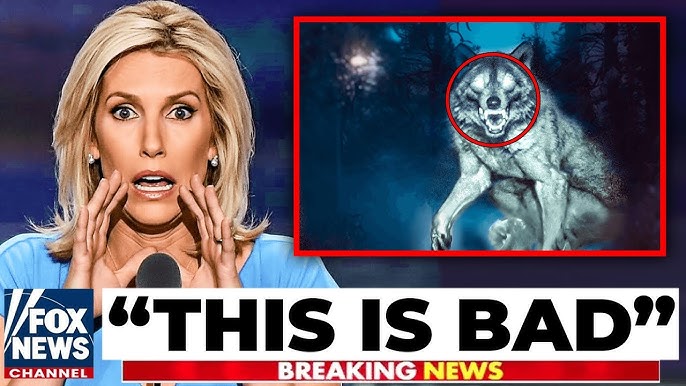 The Michigan Dogman Is Real… And It's Far Worse Than Anyone Could Have  Predicted - YouTube