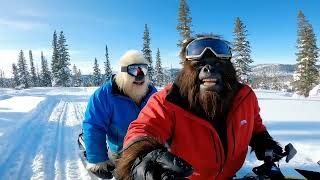 Bigfoot meets Yeti: Frozen Adventures