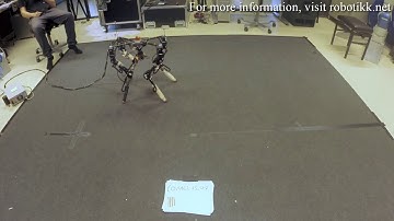 Evolution of morphology and control on a real world robot