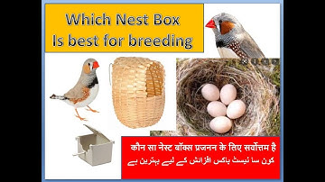 Best Nest Box for Finch bird  | Birds | Finches | Bird breeding | Bird nest