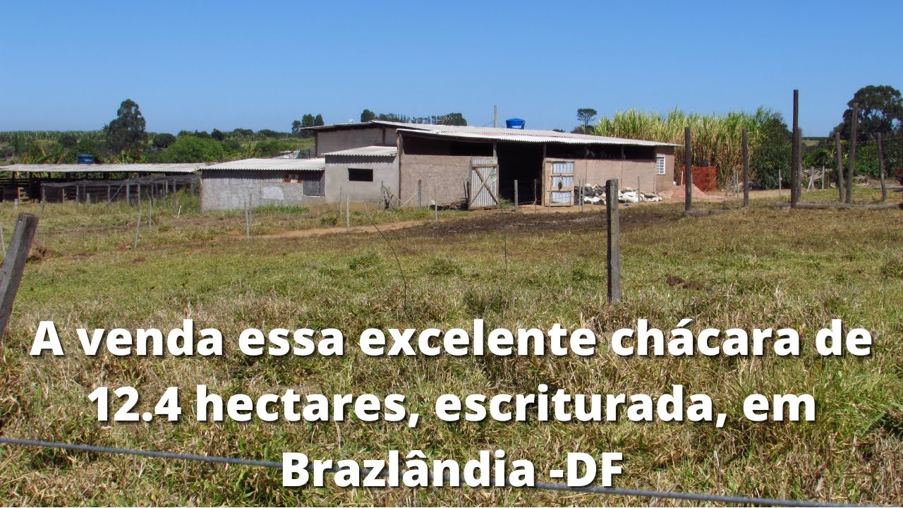 Imóveis à venda em Area Rural de Brazlandia, Brasília, DF - ZAP Imóveis