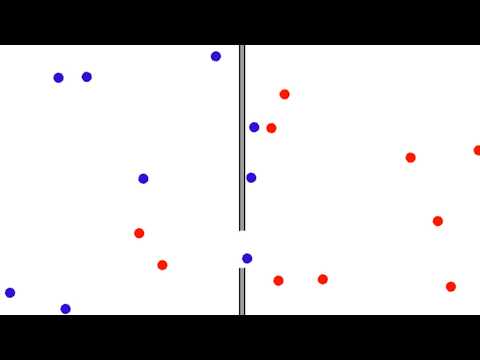 Maxwell's Demon - Tool Assisted Speedrun in 0:08.88