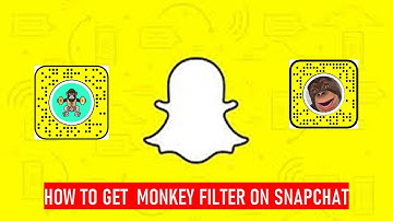 HOW TO GET  MONKEY FILTER ON SNAPCHAT