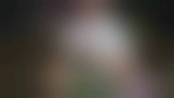 Puffco Peak Pro Quick Review