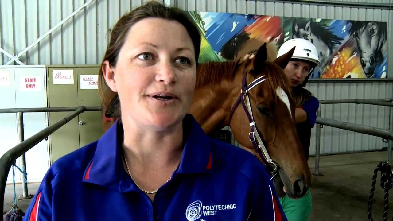 Careers In Racing The Next Generation YouTube