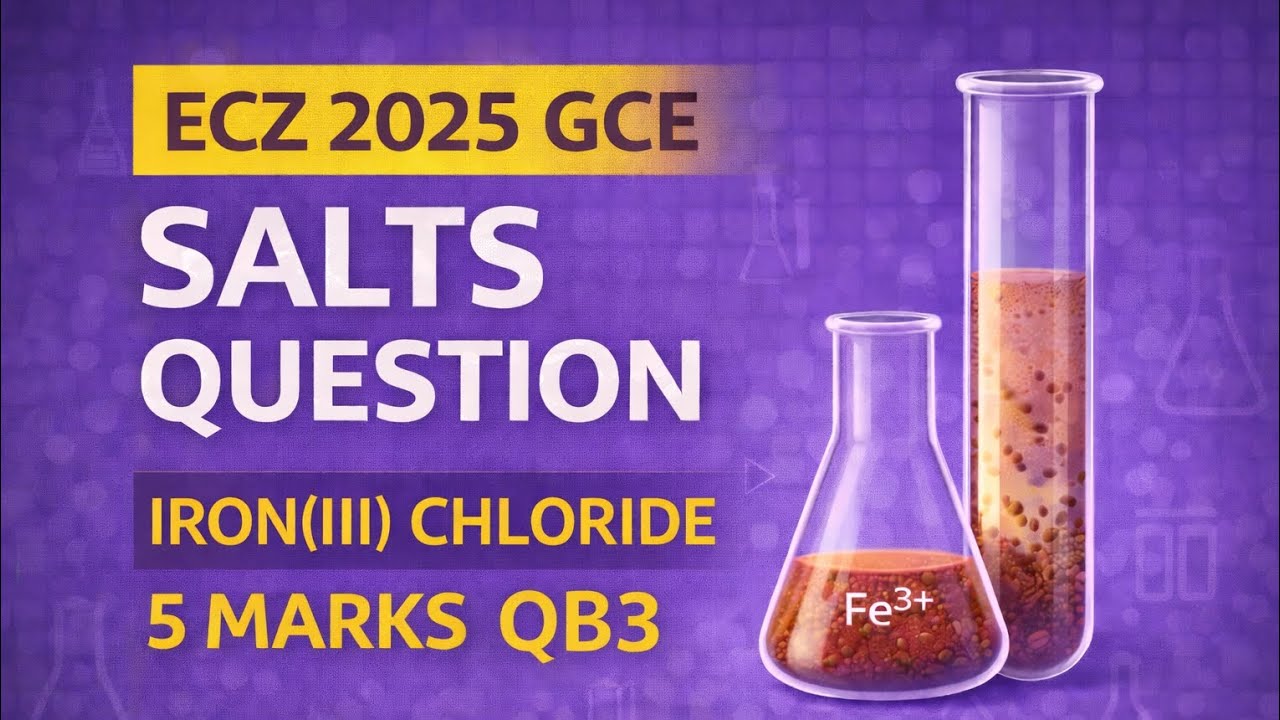 ECZ 2025 GCE Science P2 Chemistry | Salts Question B3 Explained | Full Solution