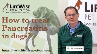 How to treat Pancreatitis in dogs?