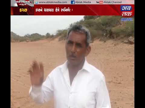 Kutch| Large grass fodder will be planted by water | ABTAK MEDIA