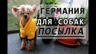 ❤ ОГРОМНАЯ ПОСЫЛКА для СОБАК ❤ той ПУДЕЛЬ писает на ЛОТОК ❤ чем кормить собак ❤ ОГРОМНАЯ ПОСЫЛКА для СОБАК ❤ той ПУДЕЛЬ писает на ЛОТОК ❤ чем кормить собак