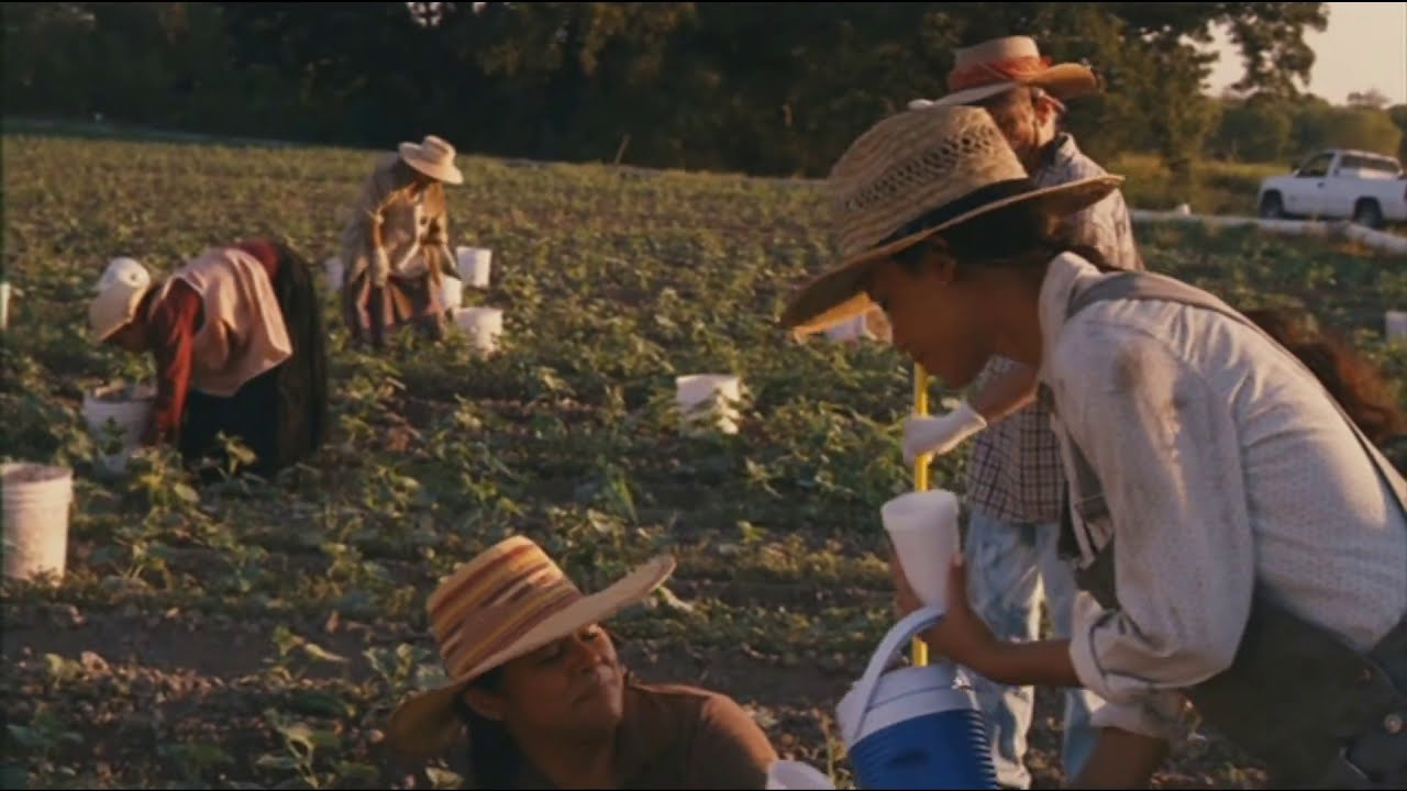 From Mexico with Love - My participation as an extra