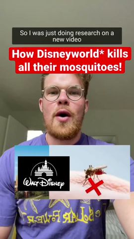 How Disneyworld kills all their mosquitoes! #shorts