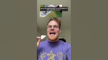 How Disneyworld kills all their mosquitoes! #shorts