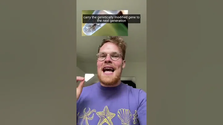 How Disneyworld kills all their mosquitoes! #shorts