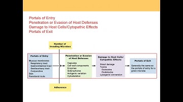Microbiology - Microbial Mechanisms of Pathogenicity Lecture 15