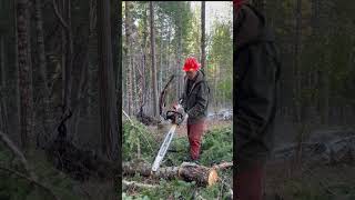 Why I Always Use a Long Bar on My Chainsaw. Am I Compensating?