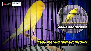 Download Lagu 26 Februari 2026 STOCK TERBARU FULL MATERI KENARI IMPORT. MP3