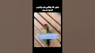 ستوريات حسينيه 