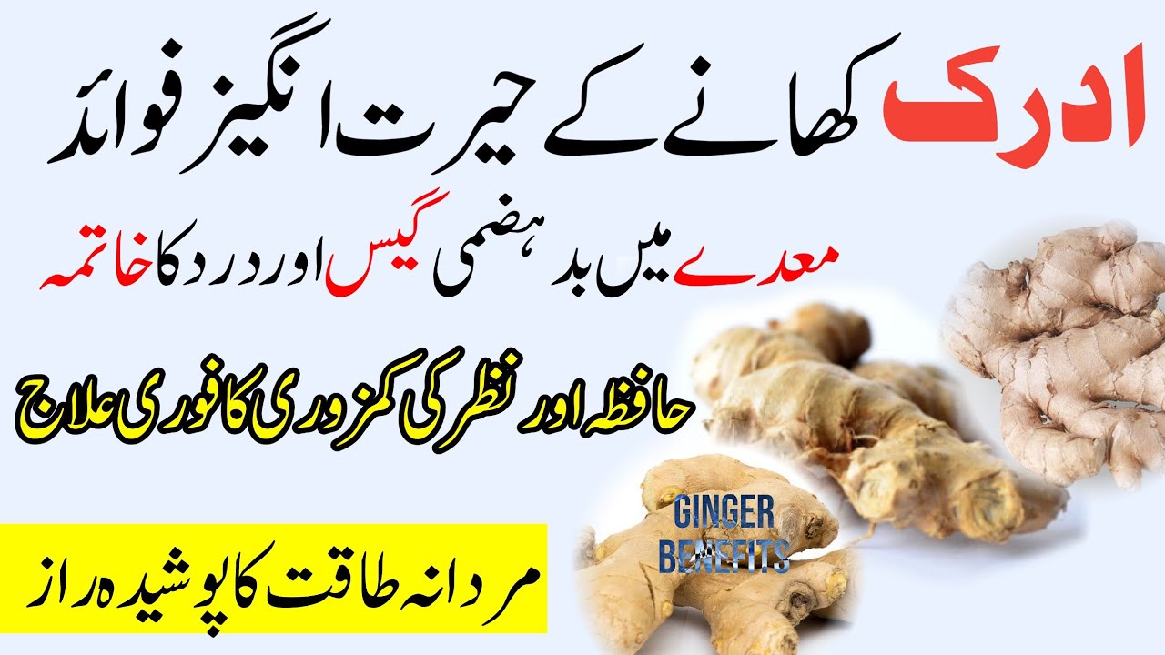 Ginger Health Benefits In Urdu Hindi Adrak Khane Ke Fayde YouTube