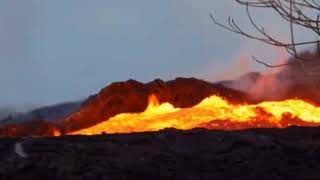 Boom , Bee Wave , Honeybees Pee