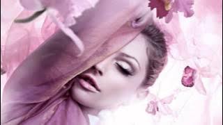 No Angels - Still In Love With You