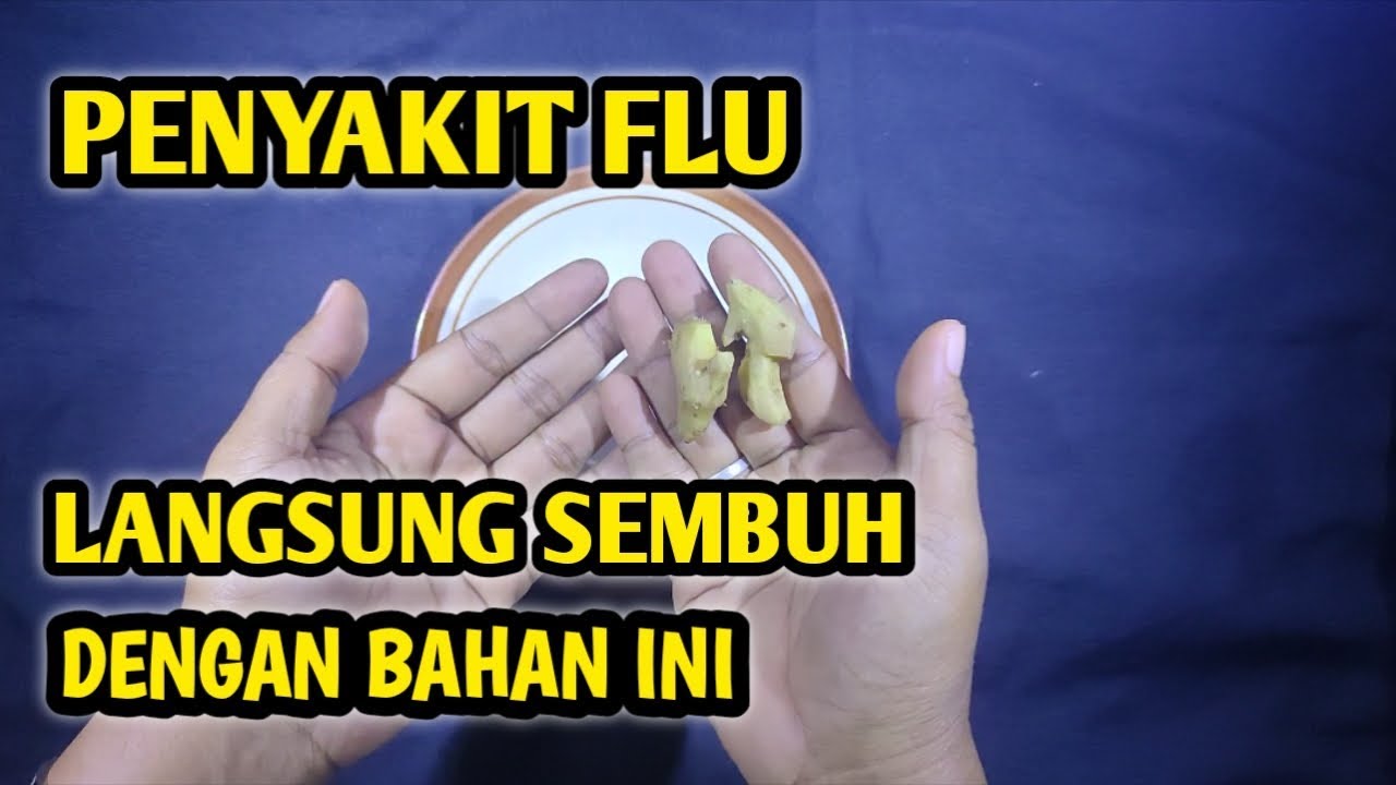 Cara Alami Mengobati Flu Dengan Cepat || Manfaat Jahe Untuk Obat Flu