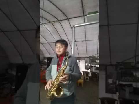 오재호색소폰 Wonderland By Night 밤하늘의부루스