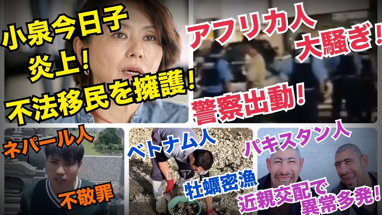 【移民問題】小泉今日子 不法移民を擁護して炎上！／ネパール男お墓で寝そべり／ベトナム男カキ密猟／パキ近親婚「出生異常」経済負担10兆円！／アフリカ人が大騒ぎ／ロマンス詐欺#藤沢モスク反対 #キクタケ進