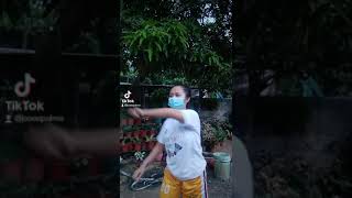 Performance Task: Week 1-3 "Tiktok it"