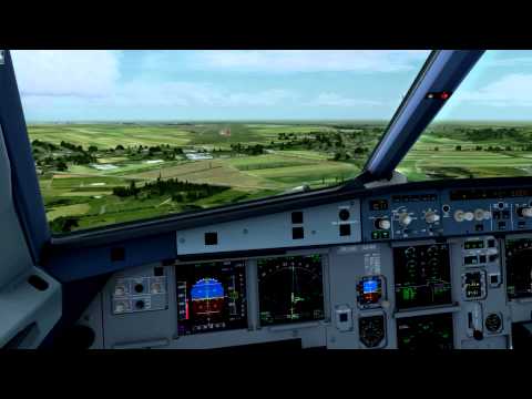 American Eagle S Fsx S