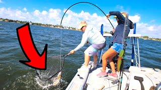 Dropped A Live Shrimp In A Public Waterway- Unexpected Lifetime Catch