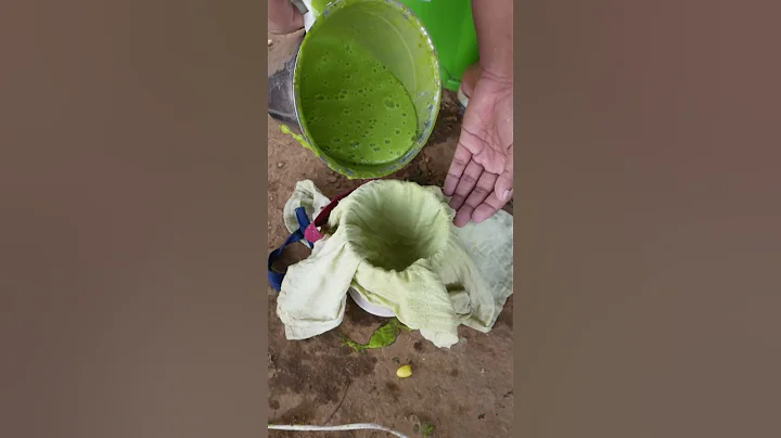 Leather from Cactus?