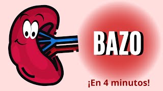 Bazo En 4 Minutos