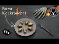 Halloween Food: Burst Cockroaches ✪ MyGerman.Recipes