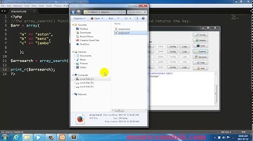 PHP array search Function