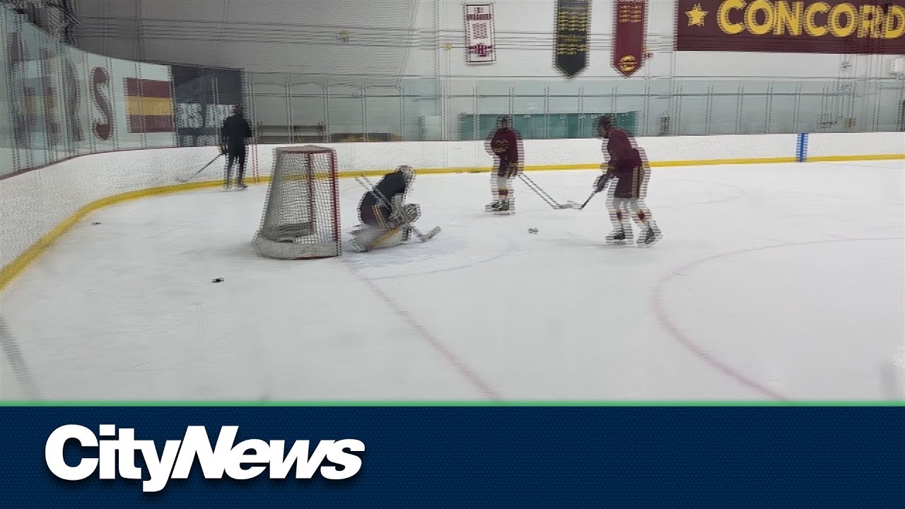 concordia-stingers-women-s-hockey-team-eyes-championship-youtube