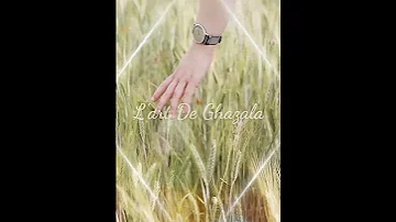 اعنف حب عشته الشاعر نزار قباني رسائل شاعره 