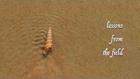 Continuous Testing CT in DevOps