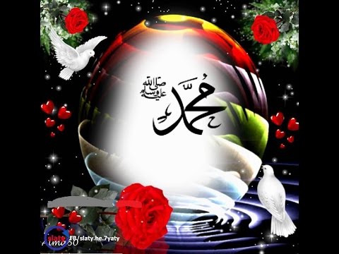 روضة الهادي نبينا محمد ثروت