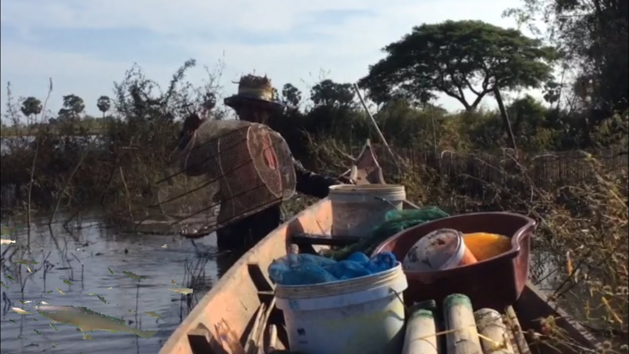 Amazing ទៅលើកលីឡឺនិងដាក់លាន់អន្ទួង#2| Primitive Animals Team