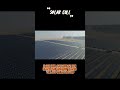 Pembangkit Listrik Tenaga Surya #solarcells