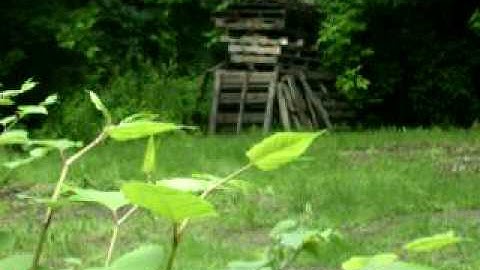 proto slg basic psp 10bps