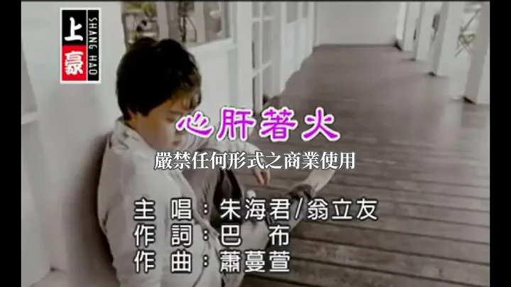 翁立友vs朱海君-心肝著火(官方KTV版) - 天天要聞