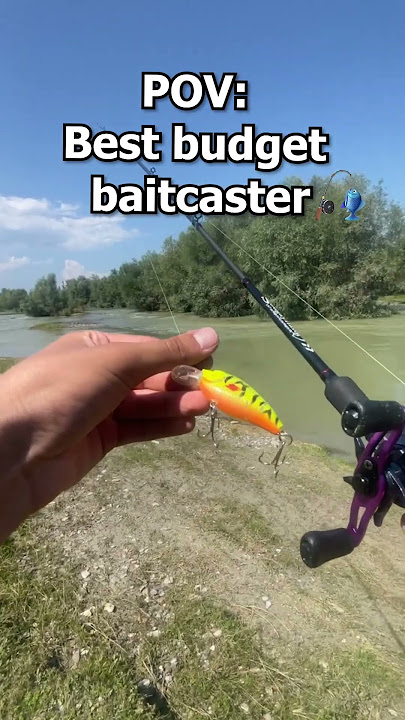 Literally best budget baitcasting rod🎣 #fyp  #fish  #fishing  #fishingrod  #baitcasting