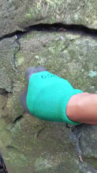 Treasure hunting found rock inclose gold indication markings #treasure #virals #shorts